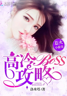�ǻ�С���ޣ�����Boss����