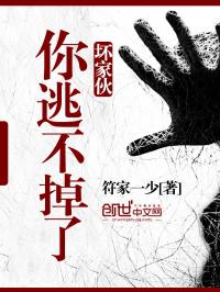 ���һ���Ӳ�����